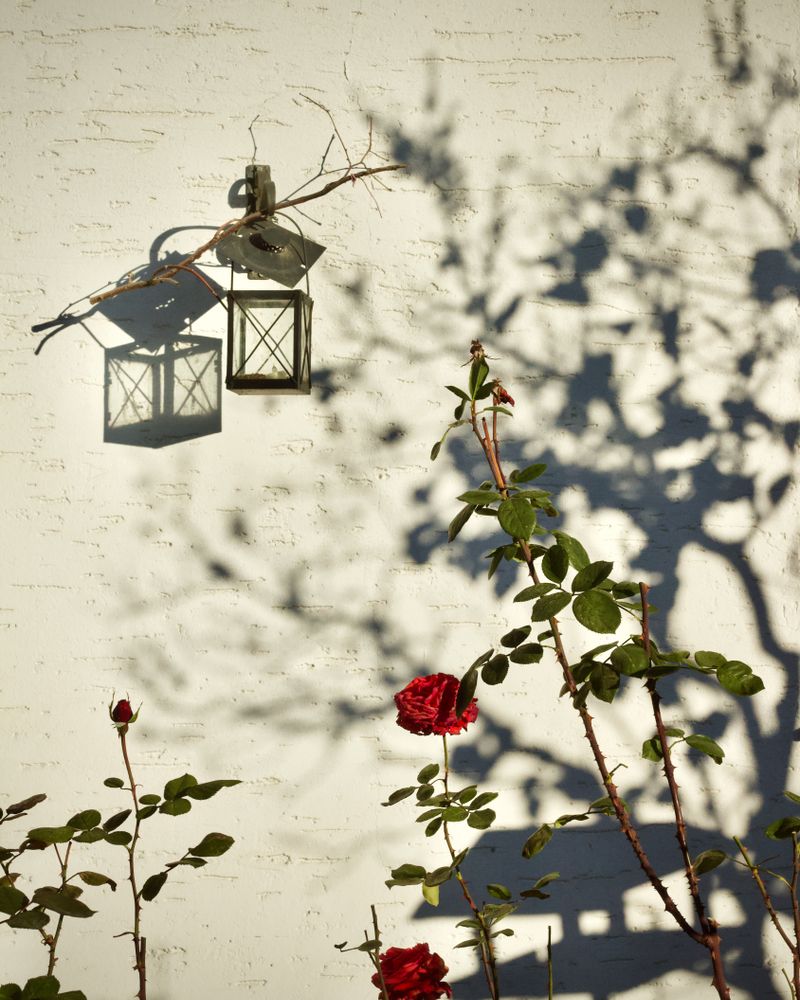 Garden Decor