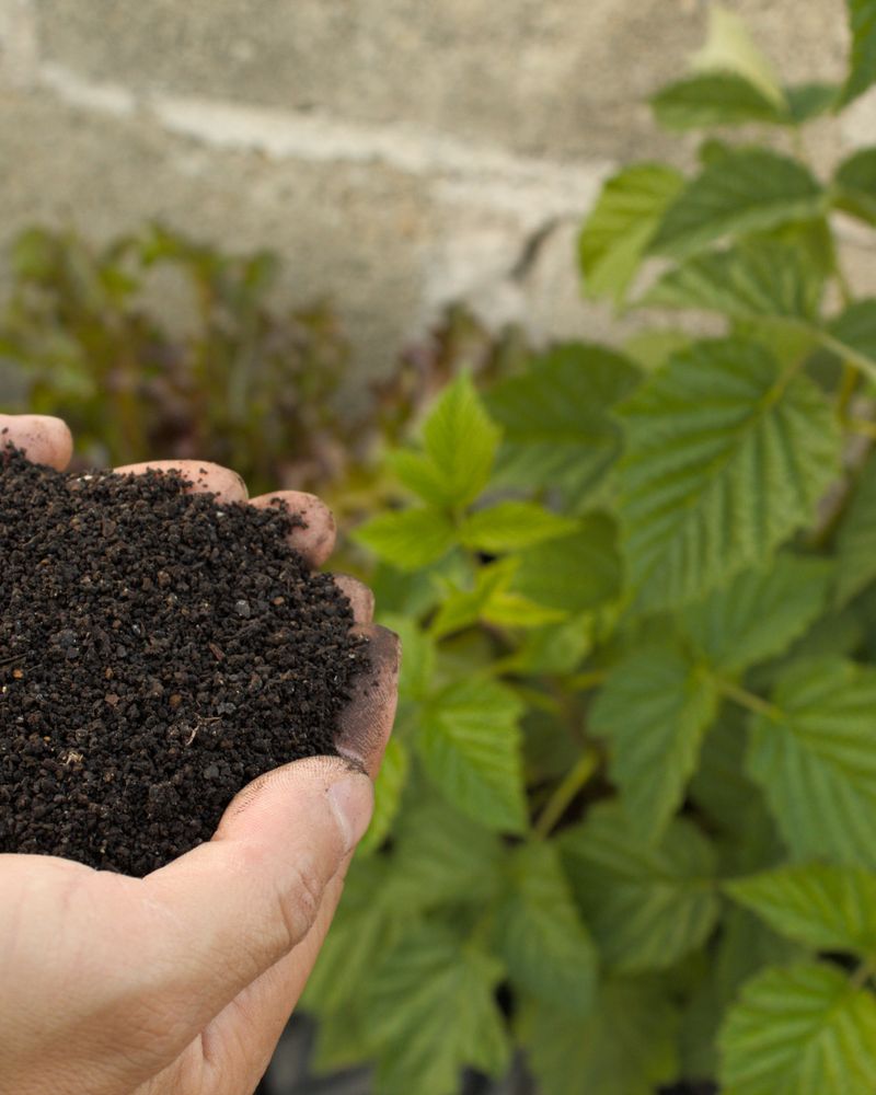 Manures & Fertilizers