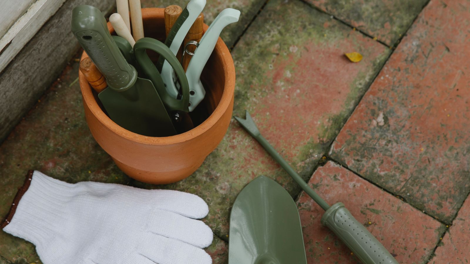 Potted plants being tended at the nursery